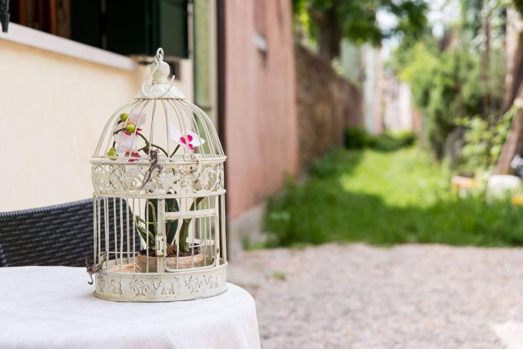 Villa Ca' Del Corder - A Secret Corner Of Peace Venecia Exterior foto